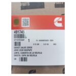 EMPAQUE DE CUBIERTAS - Imagen 3